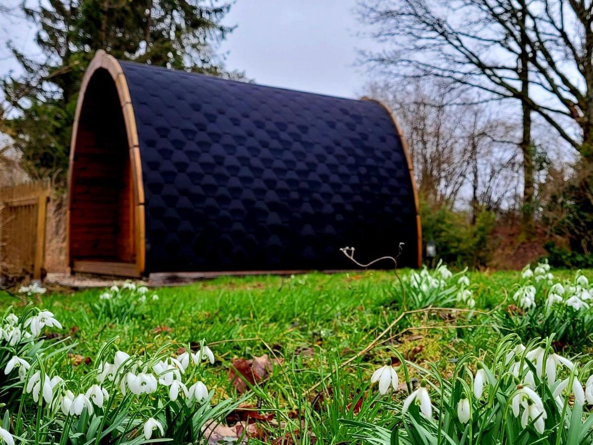 Pods Alte Schule Elchweiler Exterior foto